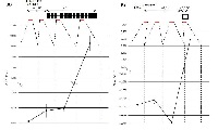 RPB1 | RNA polymerase II subunit B1 in the group Antibodies Plant/Algal / DNA/RNA/Cell Cycle / Transcription regulation at Agrisera AB (Antibodies for research) (AS11 1804)